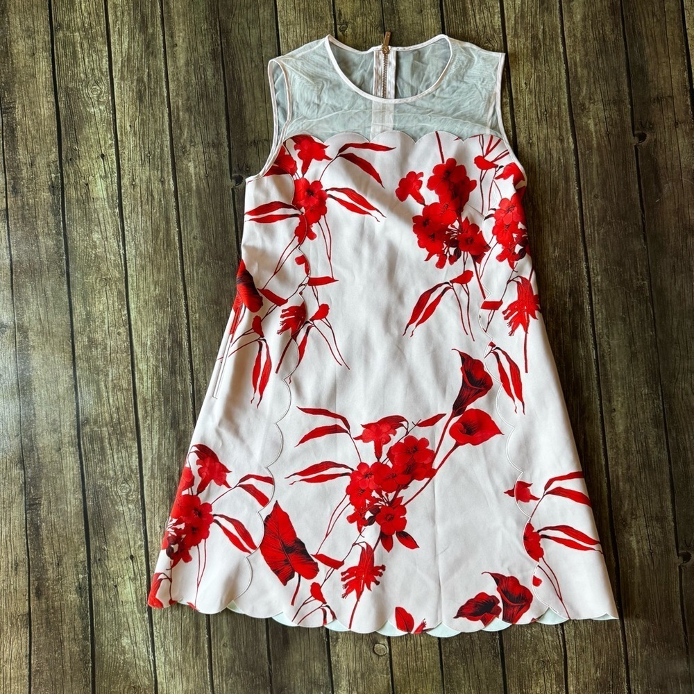 🌹 Ted Baker London “Jaazmin” Fantasia Scallop Hem Floral Dress Size 2 (US 6)